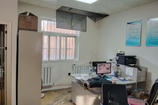 荷兰肥婆丰满bbwbbwhd全新版本上线,网友:还没老版的