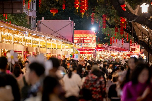 大象回家dxdy2023的功能介绍,大象回家2023