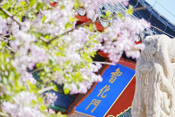 《杨思敏1一5集国语版在线看免费》高清不卡在线观看 - 全|杨思敏,看免费,观看