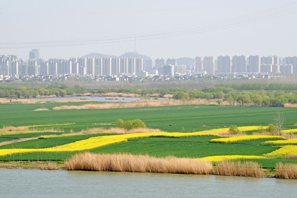 “伽罗太华翻白眼流口水流眼泪”在天之灵|伽罗太华翻白眼